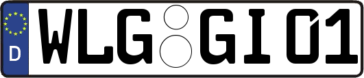 WLG-GI01