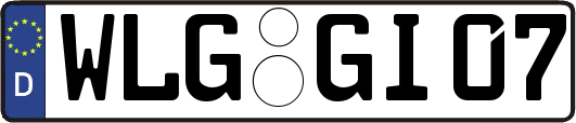 WLG-GI07
