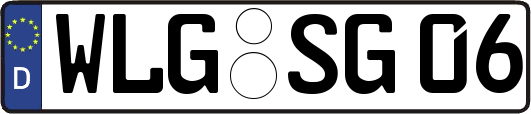 WLG-SG06