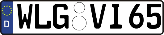 WLG-VI65