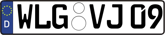 WLG-VJ09