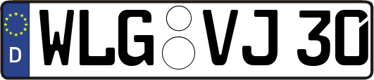 WLG-VJ30