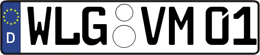 WLG-VM01