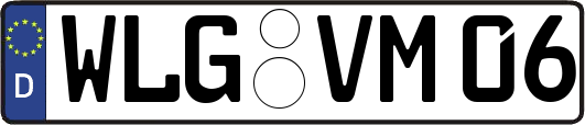 WLG-VM06