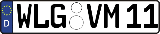WLG-VM11