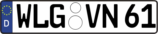 WLG-VN61