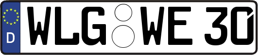 WLG-WE30