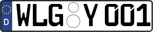 WLG-Y001