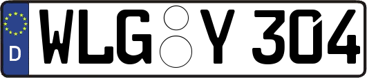WLG-Y304