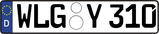 WLG-Y310