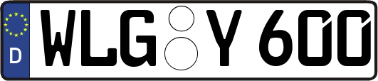WLG-Y600