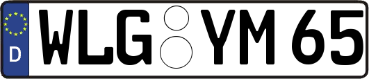 WLG-YM65