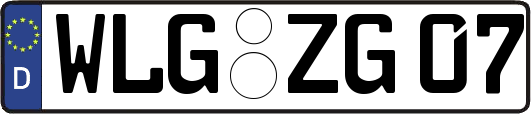 WLG-ZG07
