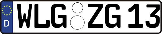 WLG-ZG13
