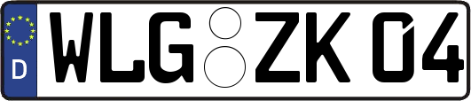 WLG-ZK04