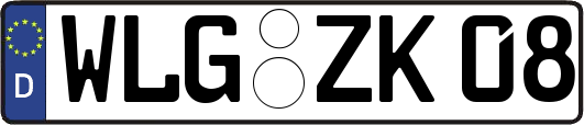 WLG-ZK08