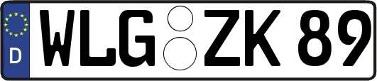 WLG-ZK89