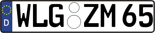 WLG-ZM65