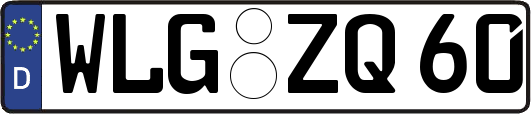 WLG-ZQ60