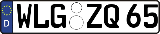 WLG-ZQ65