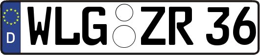 WLG-ZR36