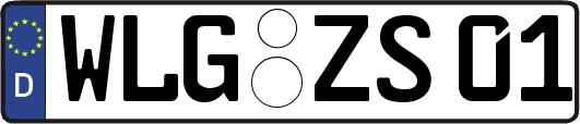 WLG-ZS01