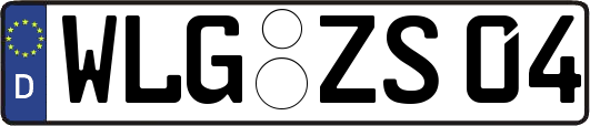 WLG-ZS04