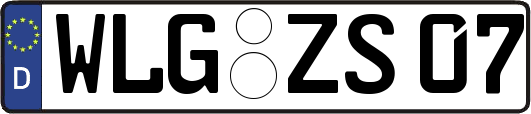 WLG-ZS07
