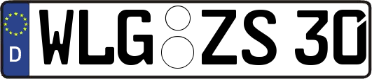 WLG-ZS30