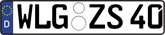 WLG-ZS40