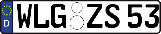 WLG-ZS53
