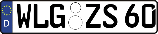 WLG-ZS60