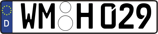WM-H029