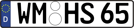 WM-HS65