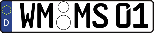 WM-MS01