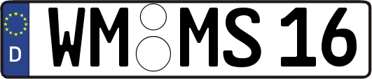 WM-MS16