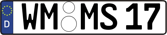 WM-MS17