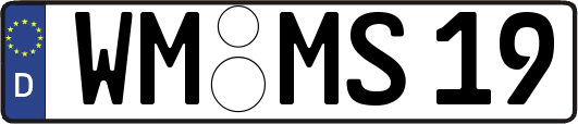 WM-MS19