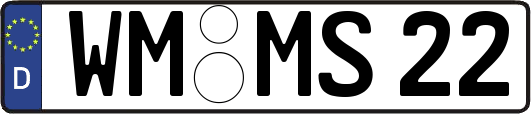 WM-MS22