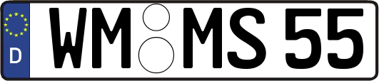 WM-MS55