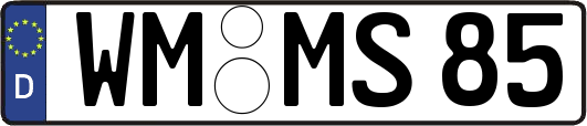 WM-MS85