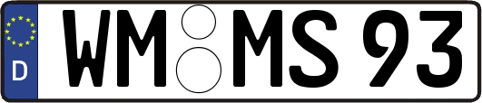 WM-MS93