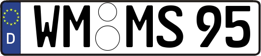 WM-MS95