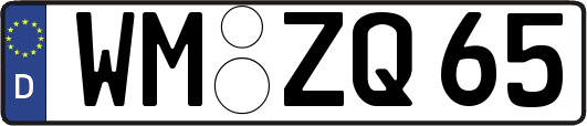 WM-ZQ65