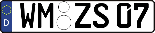 WM-ZS07