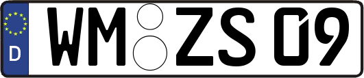 WM-ZS09