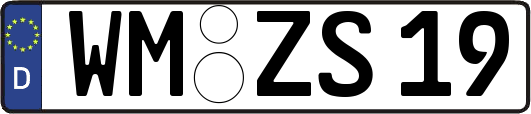 WM-ZS19