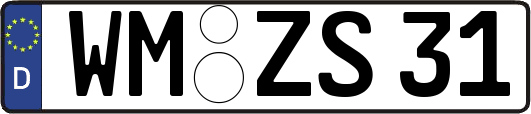 WM-ZS31