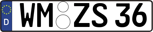 WM-ZS36