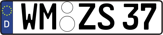 WM-ZS37